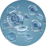 Hematologia